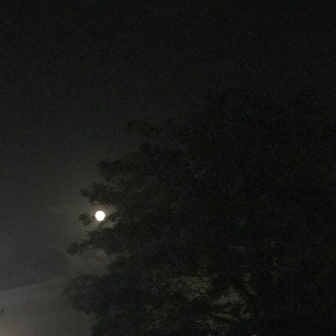 きよこさんのインスタグラム写真 - (きよこInstagram)「お稽古の帰り。 満月🌕がきれいでした。  ここのところ色々並行で進行中。 いっこいっこ落ち着いて集中してがんばろう、私。  #意外に不器用 #わかってはいたものの #しかしこんなにまでだとは  #こんな自分は初体験で #我ながら悲しいびっくり  #でもこれは #自分を知るチャンス😌  #自分に絶望したところから始まる #今までだってそうだった  #深呼吸して明日も笑っていこう」5月19日 23時30分 - kiyoco_smily