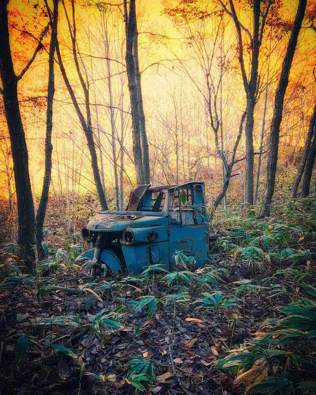 啝 （わ）さんのインスタグラム写真 - (啝 （わ）Instagram)「Secret treasure 𓆲 𓆲 𓆲 #japan_urbex #JJ_URBEX #jp_gallery #kf_urbandonedmasks #KINGS_ABANDONED #m3xtures #Meistershots #moodygrams #nature_takes_over #natures_reclaim #ominous_perfection #pr0ject_uno #rsa_preciousjunk #savethedecay #sfx_decay #廃墟 #草ヒロ #cars_abandoned #abandonedcar」5月19日 23時38分 - neji_maki_dori