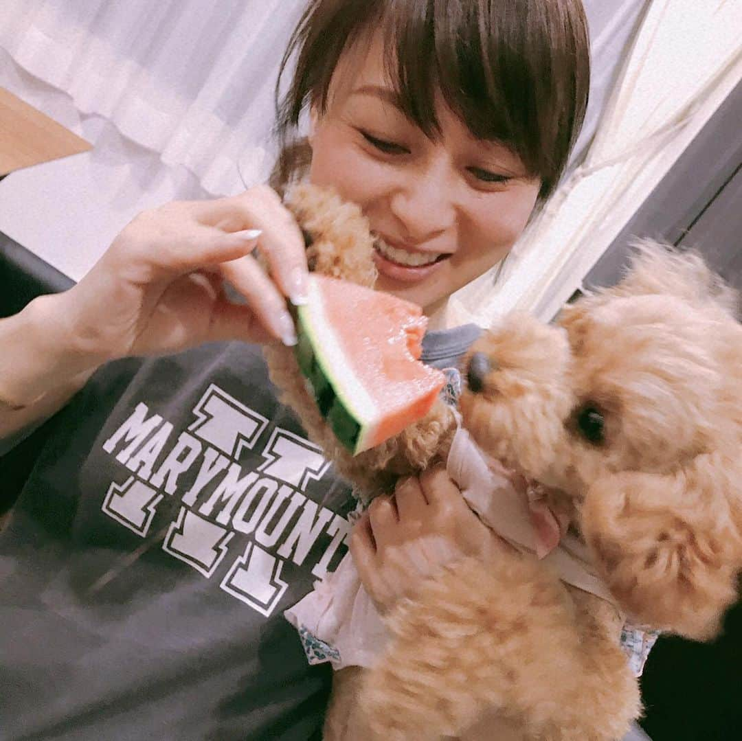 渡辺美奈代さんのインスタグラム写真 - (渡辺美奈代Instagram)「大好きな🍉スイカ🍉  あの〜マミーしゃん！ 私自分で持って食べられます！byリル」5月20日 0時03分 - watanabe_minayo