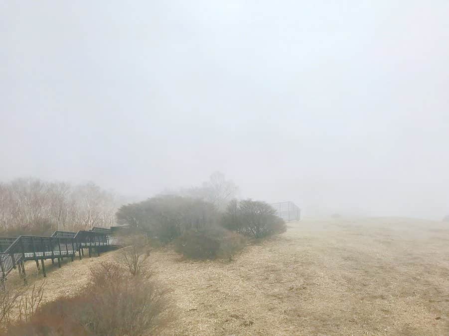 綾瀬麗奈さんのインスタグラム写真 - (綾瀬麗奈Instagram)「🙈💗 . . 1445段ある階段を登りました🥺🌸 (スカート完全にミス) 天候が不安定で、 雨降ってきたり 霧がすごかったり 登り切ってもなんにも見えなかったけど 少し待ってたらめちゃめちゃいい景色見られました😭💗 うれしいっ 綺麗なキスゲが見られるかなぁ って思ったけど、 まだ芽がでたばっかりみたいで またリベンジしたい🧸❤️ . . . #キスゲ平園地 #天空回廊 #1445段 #霧降高原 #霧降高原キスゲ平園地 #キスゲ平 #キスゲ #ニッコウキスゲ #栃木旅行 #栃木観光 #日光旅行 #日光観光 . #綾瀬麗奈 #アイドル #dela #役者 #名古屋 #nagoya #名古屋観光文化交流特命大使 #トレーニング女子 #筋トレ女子 #御朱印ガール #りんご飴 #ハムスターのいる生活 #荒野行動女子 #tiktok #tiktokjapan #ティックトッカー」5月20日 0時20分 - ayasereina