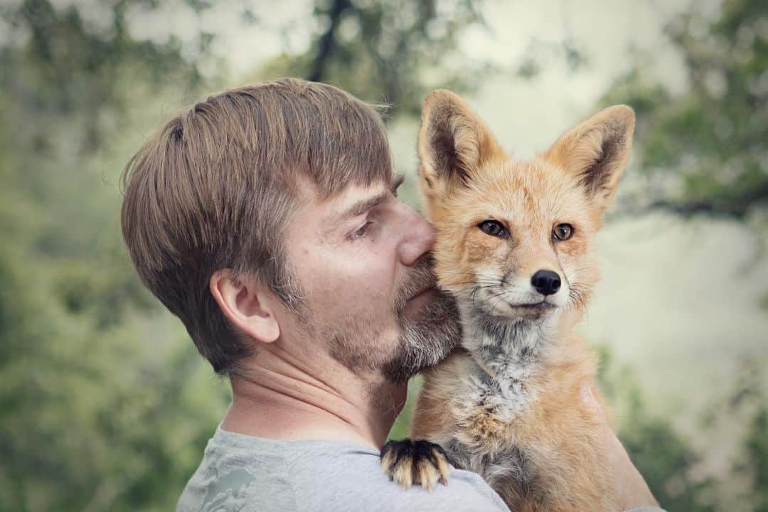 Rylaiさんのインスタグラム写真 - (RylaiInstagram)「The bond that heals.... . Dave: Co-Founder of @Jabcecc Fox Ambassador: Viktor, Belyaev 🦊  Photo credit: @buckthecubicle . Stay tuned for more amazing photos from this photo shoot with Jenna and Jon from @buckthecubicle - we were invited to be a part of their purpose driven project highlighting unique people and their equally unique animals and their passion to make a difference!  We cannot wait to see this amazing project they are creating.... until then, we will be sharing photos from their time capturing our love for canids! . #purposedriven #uniqueanimals #canids #foxes #viktor #jabcecc #siberiancupcakes #buckthecubicle #foxesofig #bond #nonprofit #passion #sundaysareforhealing #foxes #redfox #ambassadors #animalencounters #healingthrunature #natureheals #canids #southerncal #socal #sandiego #sdlocal #supportlocal」5月20日 0時30分 - jabcecc