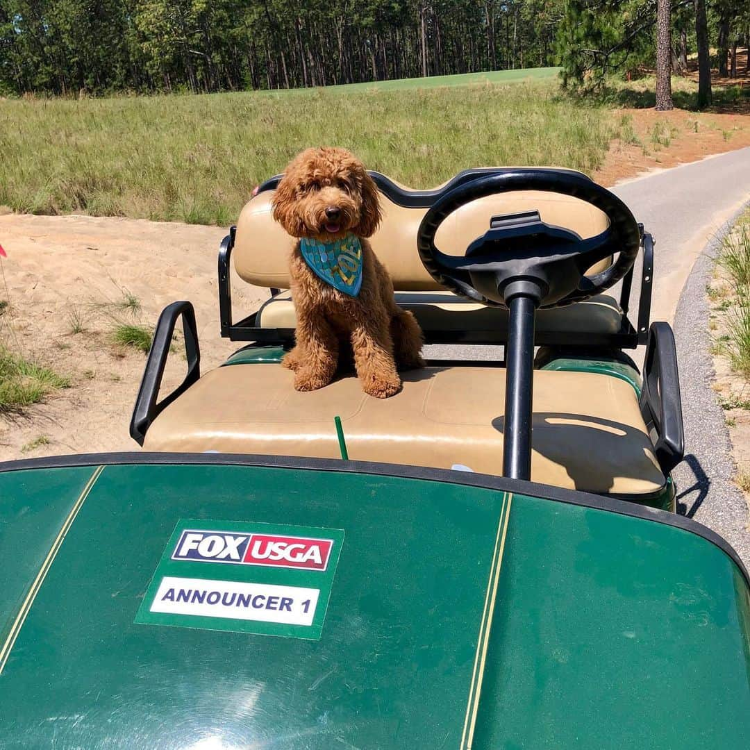 モーガン・プレッセルさんのインスタグラム写真 - (モーガン・プレッセルInstagram)「Newest member of the @foxsports broadcast team! Out scouting the course before we go on air at 3pm eastern on FS1! #usseniorwomensopen」5月20日 0時39分 - mpressel