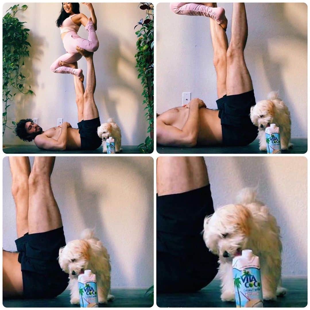 Vita Coco Coconut Waterのインスタグラム：「Possible to Hate: yoga  Impossible to Hate: this pup drinking our Pressed Coconut」