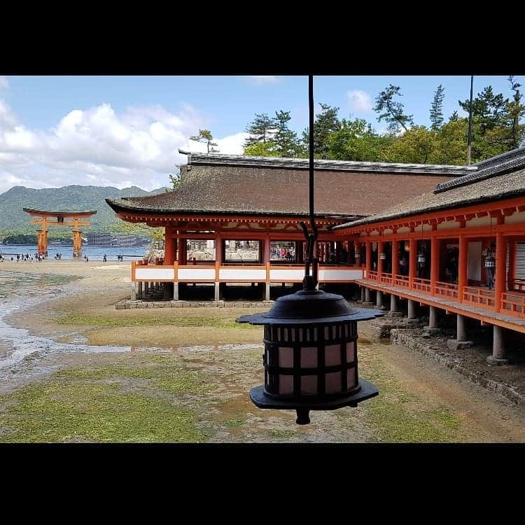 シャルレーヌ・ギニャールさんのインスタグラム写真 - (シャルレーヌ・ギニャールInstagram)「An emotional day in Miyajima and Hiroshima ⛩🦌🏯🌸💞 #throwback #memories #vacation #holidays #japan #miyajimaisland #hiroshima #deers #castle #hiroshimapeacemuseum #hiroshimamemorialpark」5月20日 0時52分 - charleneguignard