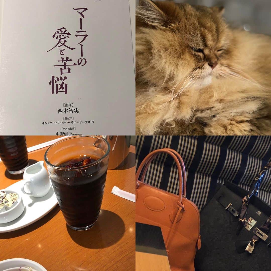 norikoさんのインスタグラム写真 - (norikoInstagram)「☆2019.5.17☆ クラシックコンサート ＊ 西本智実さんのマーラーを聴きに行ってきました。 れいちゃんとマーラーを聴きに行ってから、あれから４年✨ この４年間、沢山の西本さんのオケを聴きました。 これからももっとたくさん聴きたいです。 来月も行くよ〜✨ れいちゃん、楽しかったね〜😄💕💕 #西本智実 #マーラー交響曲第５番 #紀尾井ホール #楽しみで幸せな時間」5月20日 0時56分 - kttlt.lovely