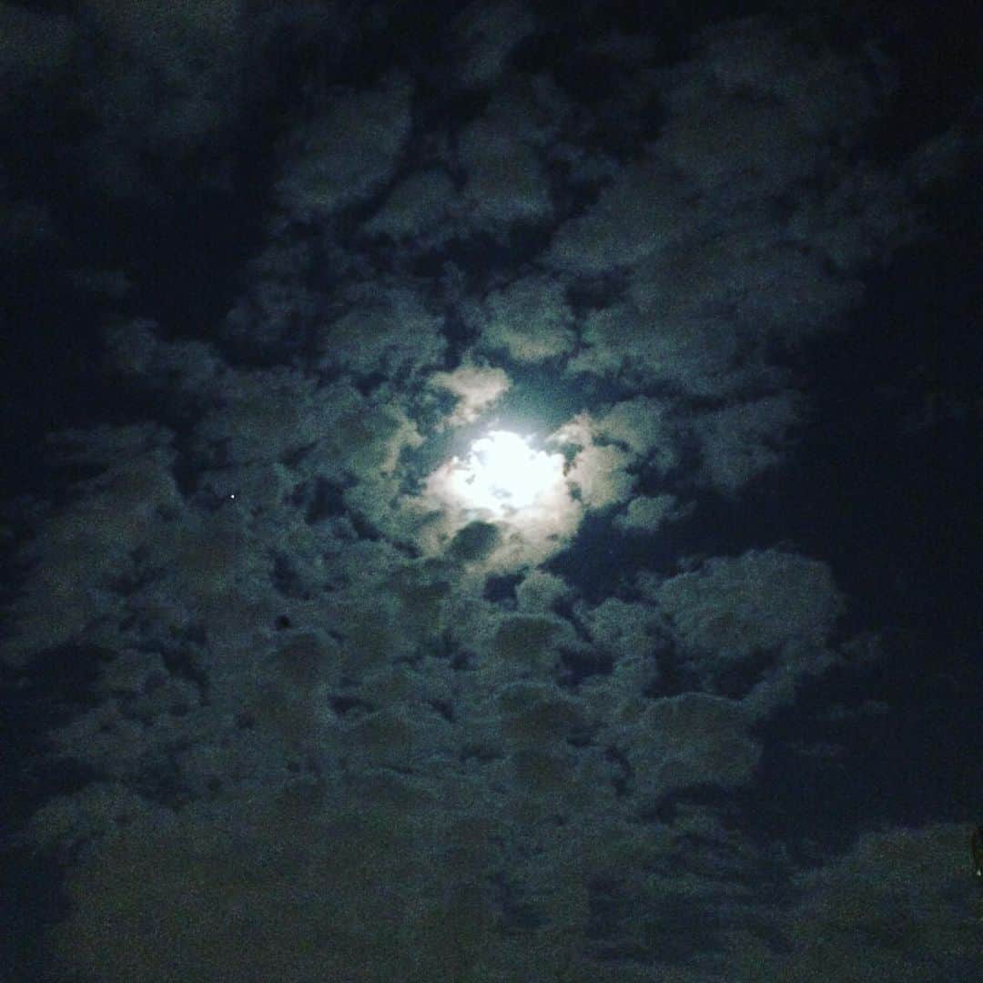 金剛地武志さんのインスタグラム写真 - (金剛地武志Instagram)「月がキレイね。そろそろiPhone買い替えようか。5s。」5月20日 1時11分 - kongochi