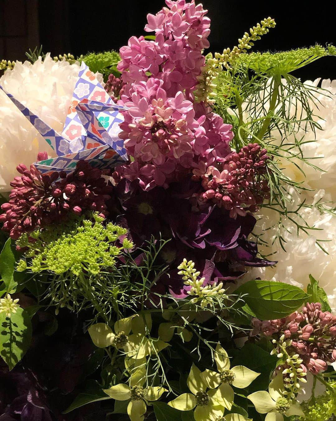 ザックポーゼンさんのインスタグラム写真 - (ザックポーゼンInstagram)「Late spring Flowers in japan! 🇯🇵😍✔️ I am in #Tokyo to help celebrate 40 year of @brooksbrothersjapan」5月20日 1時25分 - zacposen