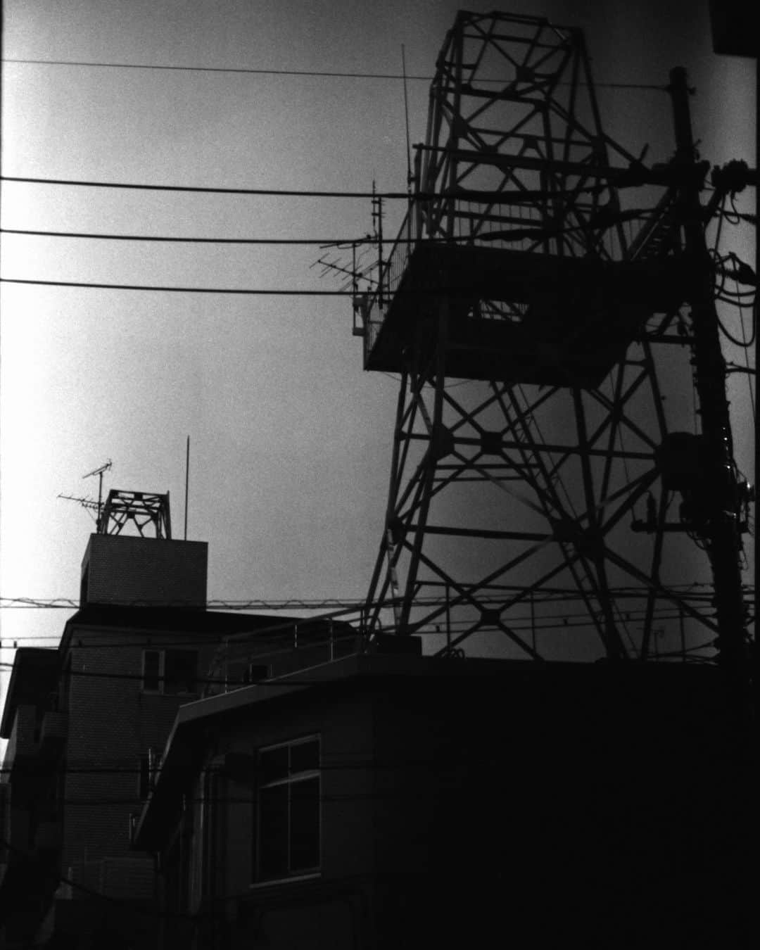 田島貴男さんのインスタグラム写真 - (田島貴男Instagram)「エレジー #フィルムカメラ #nikonf4 #nikkor50mm14  #trix400 #自家現像」5月20日 1時40分 - tajimatakao