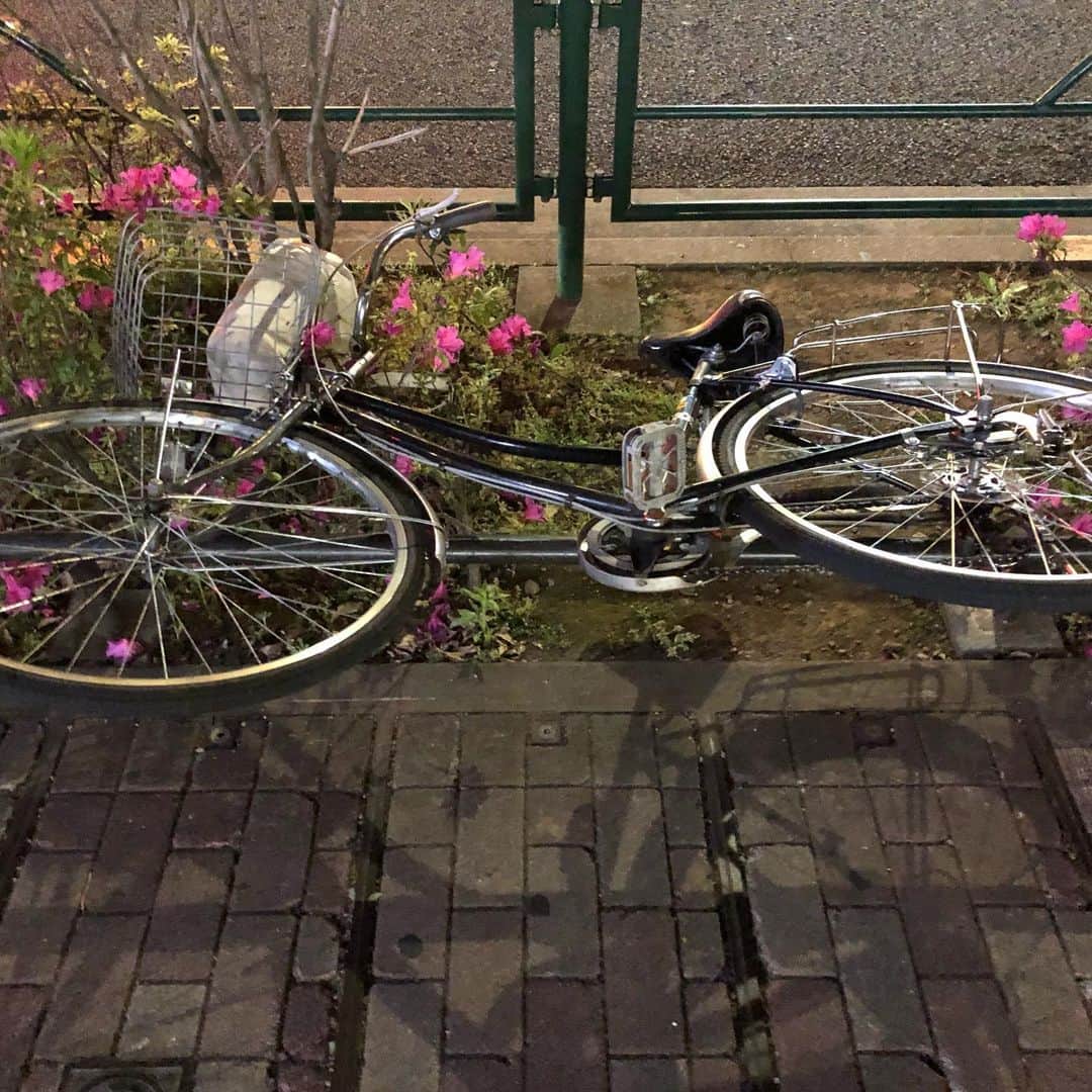 村民代表南川さんのインスタグラム写真 - (村民代表南川Instagram)「深夜のテンションで柄にも無く「タピオカミルクティー」なるものを購入してしまいました！！！！ そして、柄にも無く「自撮り」なるものをしました！！！！ 買っている間に何者かに自転車をひっくり返されていました！！！！ でも、タピオカミルクティーが美味しかったのでモーマンタイです！！！！」5月20日 1時42分 - son_d_min