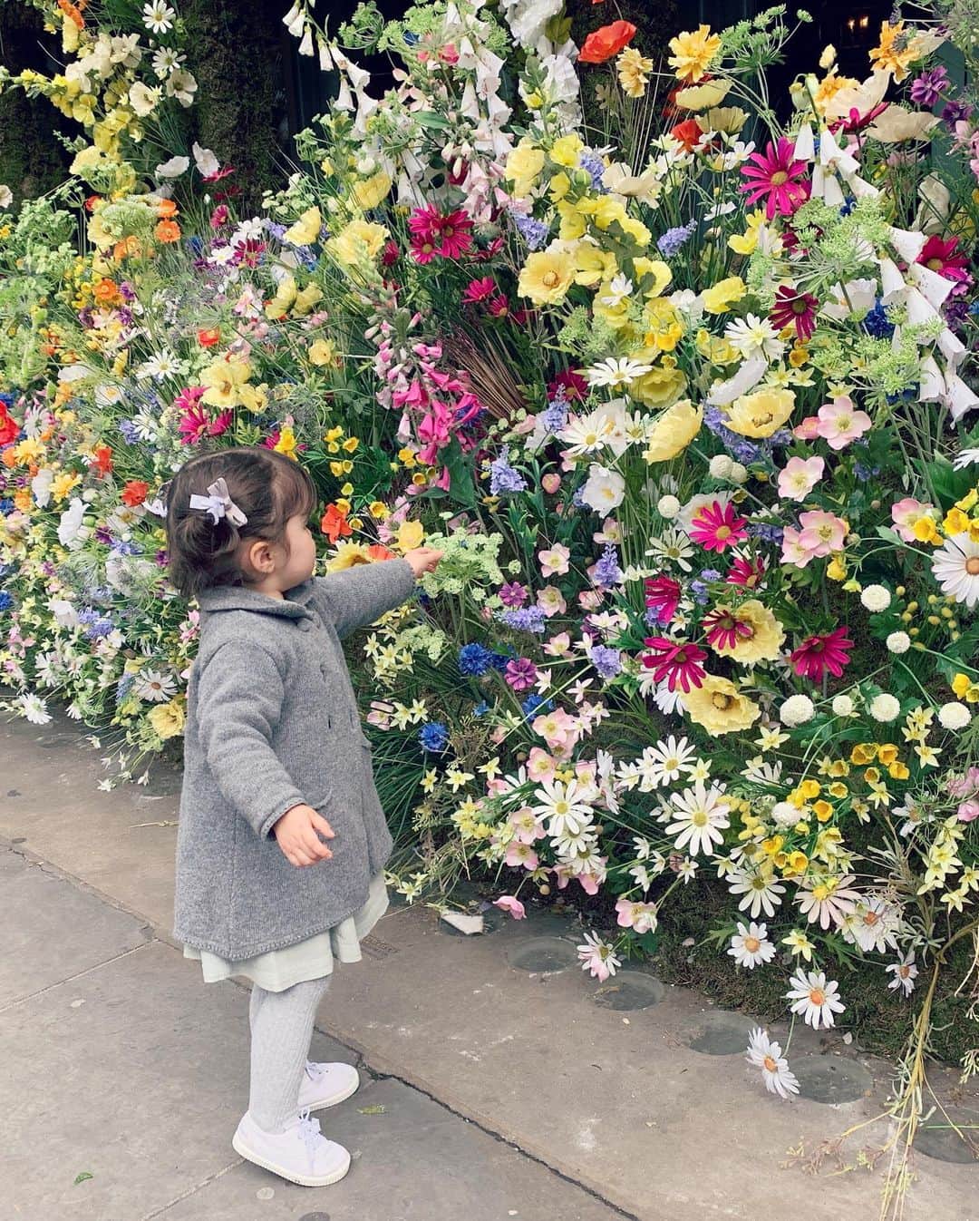 MEGのインスタグラム：「今年もChelsea Flower Showの季節に。街がお花で溢れるよー 良い天気になぁれ。」