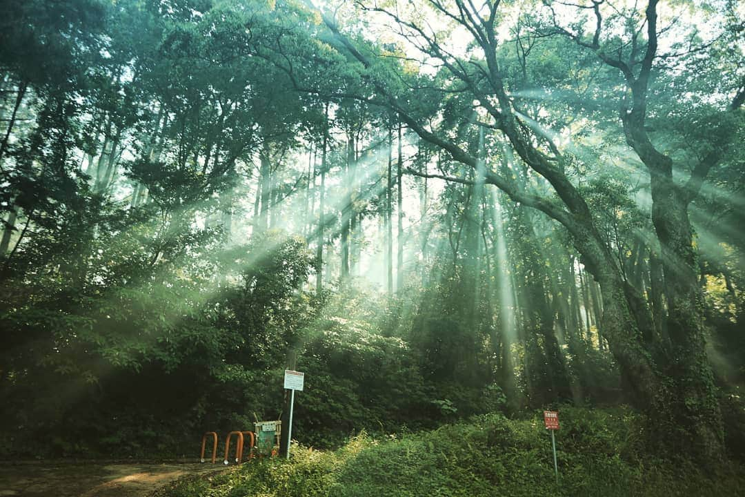 吉松育美さんのインスタグラム写真 - (吉松育美Instagram)「#TOSU, Saga. Beautiful green country side in #Japan 🌳🌲🌿🌱🌲🍀 . . よくここに遠足行ったな～🍙 #河内ダム . バディーとここで遊びたいな～🐶❤ しかし緑がキレイ～😍 . . #鳥栖 #鳥栖市 #佐賀県 #地元 #緑 #公園 #市民の森 #田舎 #平和 #日本 #最高 #saga #Tosu #countruside #love #peace #photography #photoofjapan #canon #m100 #summer」5月20日 13時50分 - ikumiyoshimatsu