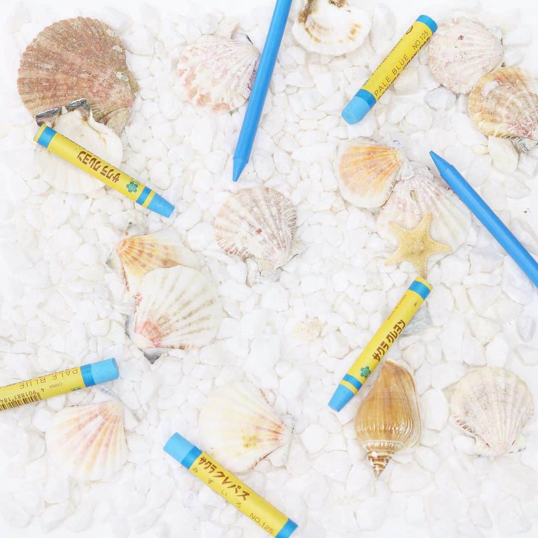 のインスタグラム：「. #クレパス #クレヨン #クーピー #筆記具 #文房具 #文具 #文房具好きな人と繋がりたい #stationery #beach #beachgirl #beachtrip #sea #seashells #shells」
