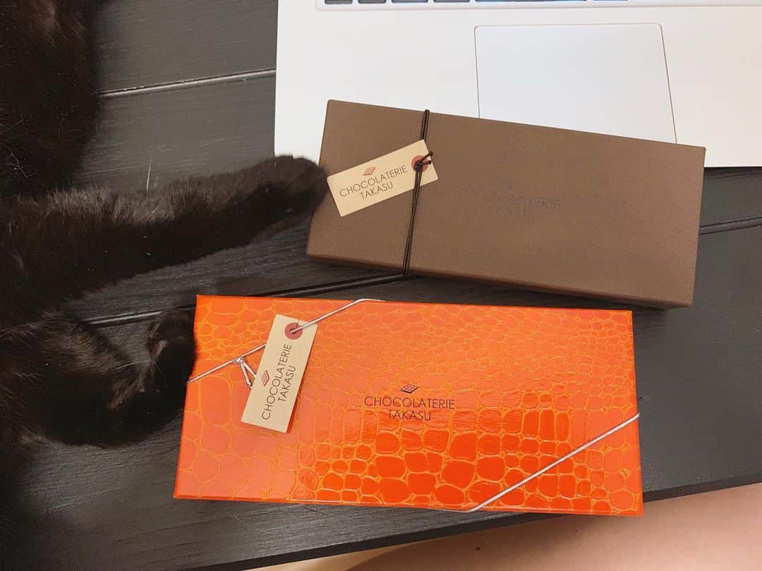 本間愛花さんのインスタグラム写真 - (本間愛花Instagram)「素敵なチョコレートをいただきました ｝🐈 1：これと 2：これです 3：さっそくあけてみましょう 4：ごらんください、このオサレなチョコレートを🍊✨ #chocolaterietakasu」5月20日 12時59分 - aikahonma