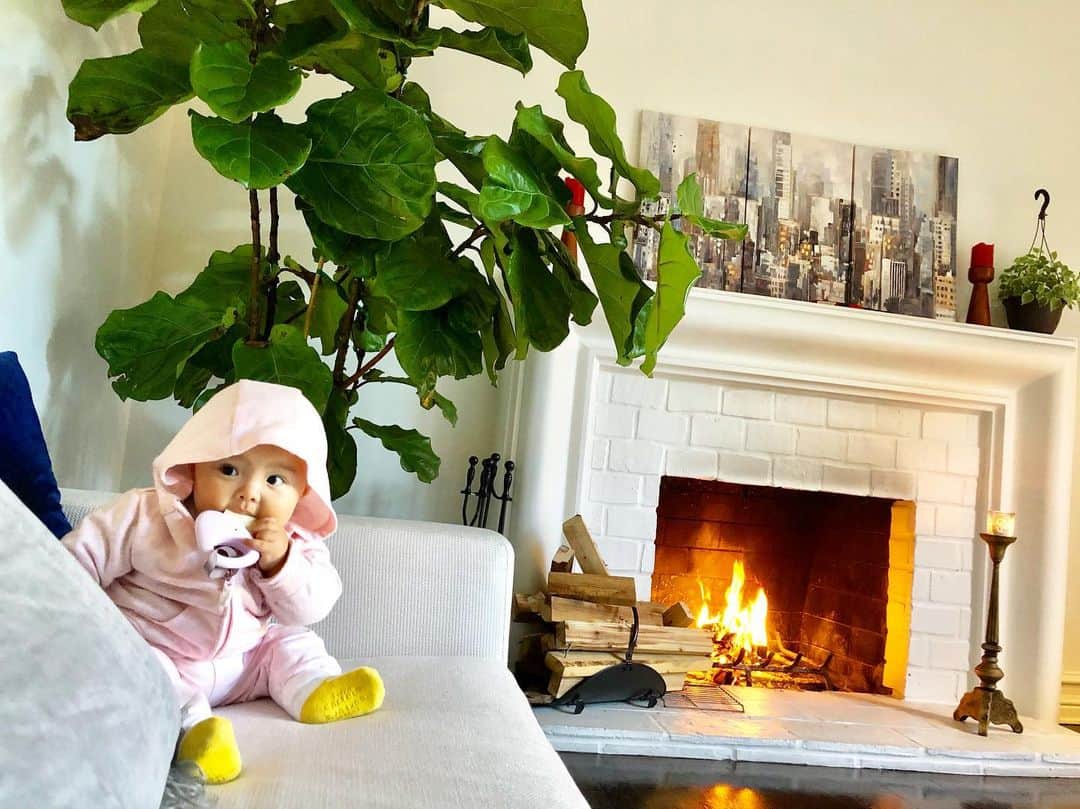 ルピン・ワンのインスタグラム：「Still feel like winter today..」