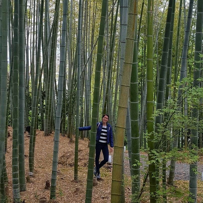 シャルレーヌ・ギニャールさんのインスタグラム写真 - (シャルレーヌ・ギニャールInstagram)「Last day in Kyoto 🎎🍃 #kyoto #japan #holidays #lastday #vacation #ginkakujitemple #ginkakuji #kiyomizuderatemple #yasakashrine #maruyama #zengarden #relax #love」5月20日 4時46分 - charleneguignard