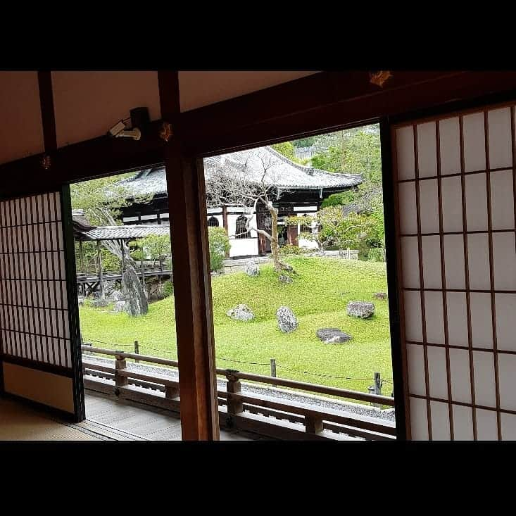 シャルレーヌ・ギニャールさんのインスタグラム写真 - (シャルレーヌ・ギニャールInstagram)「Last day in Kyoto 🎎🍃 #kyoto #japan #holidays #lastday #vacation #ginkakujitemple #ginkakuji #kiyomizuderatemple #yasakashrine #maruyama #zengarden #relax #love」5月20日 4時46分 - charleneguignard