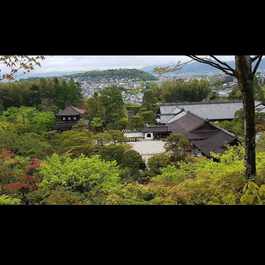 シャルレーヌ・ギニャールさんのインスタグラム写真 - (シャルレーヌ・ギニャールInstagram)「Last day in Kyoto 🎎🍃 #kyoto #japan #holidays #lastday #vacation #ginkakujitemple #ginkakuji #kiyomizuderatemple #yasakashrine #maruyama #zengarden #relax #love」5月20日 4時46分 - charleneguignard