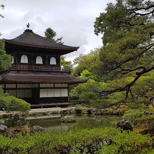 シャルレーヌ・ギニャールさんのインスタグラム写真 - (シャルレーヌ・ギニャールInstagram)「Last day in Kyoto 🎎🍃 #kyoto #japan #holidays #lastday #vacation #ginkakujitemple #ginkakuji #kiyomizuderatemple #yasakashrine #maruyama #zengarden #relax #love」5月20日 4時46分 - charleneguignard