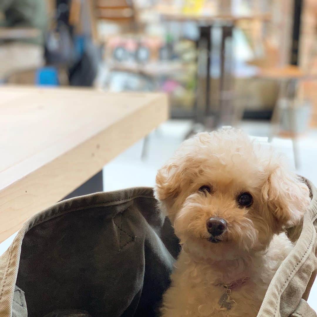 Maruのグルメインスタ