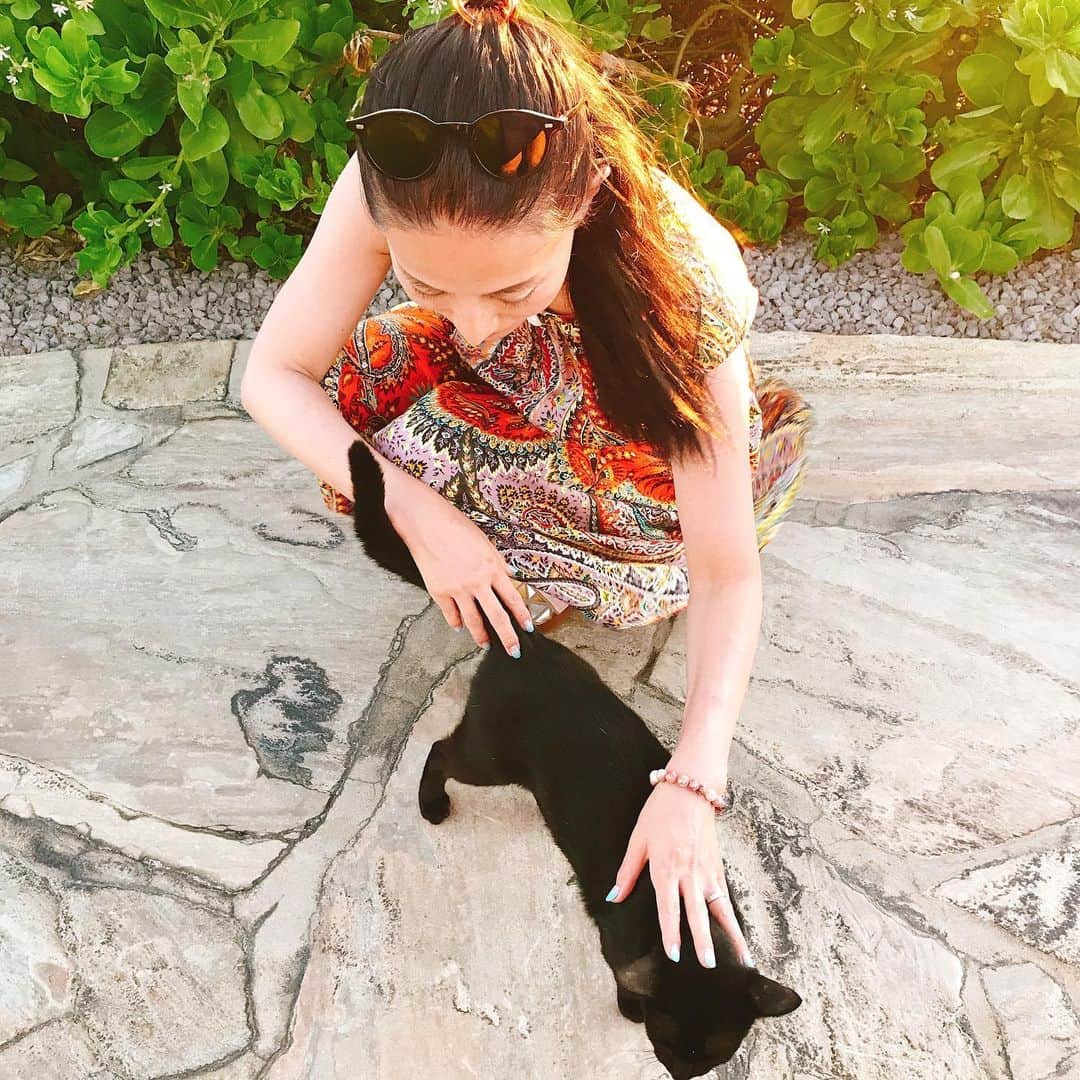 佐伯紅緒さんのインスタグラム写真 - (佐伯紅緒Instagram)「黒猫さんに遭遇。 ハワイの猫は人なつこいです。  #ハワイ島 #猫 #hawaii #blackcat」5月20日 6時56分 - beniosaeki