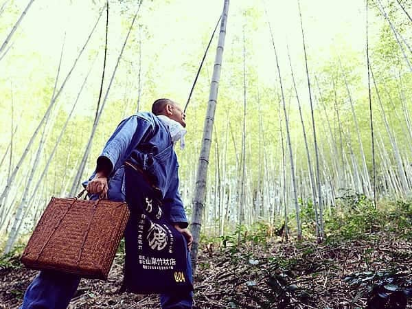 竹虎さんのインスタグラム写真 - (竹虎Instagram)「今年になって出来上がった竹網代アタッシュケースは、やはり渋い。ずっと近くに置いて毎日、毎日、何度も見ているが格好いい。これを独り占めしていいのか？という気持ちになってきたので特別に製作してみることにした。実はこのケース本体は、かっての築地などでプロの料理人達に愛用されていた市場籠と同じスズ竹で編まれている。 .  色合いが全く異なるので気づく人もいないのだが冷寒地の雪で気候で鍛えられた竹は粘りや堅牢さが違う。男の持つバッグには最適の素材を2年間じっくり時間をかけて色艶を出したのが自分が手にしているアタッシュなのだ。 .  これを特別にもう一つ、今年の竹虎創業記念製作として取り組んでみることにした。さすがに材料作りに2年もの時間はかけられないので染めにしたがこの通りの素晴らしい出来映え、これは今から完成が楽しみで仕方ない。少し高額になるものの10月6日の設立記念日をメドにお披露目できそうだ。 .  #竹虎 #虎斑竹専門店竹虎 #山岸竹材店 #竹虎四代目 #TAKETORA #竹屋 #竹製品 #竹細工 #竹工芸 #竹 #bamboo #虎竹 #真竹 #青竹 #白竹 #淡竹 #孟宗竹 #アタッシュケース #鞄 #スズ竹 #バッグ #ダレスバッグ #網代編 #創業記念 #創業125周年」5月20日 7時12分 - taketora1894