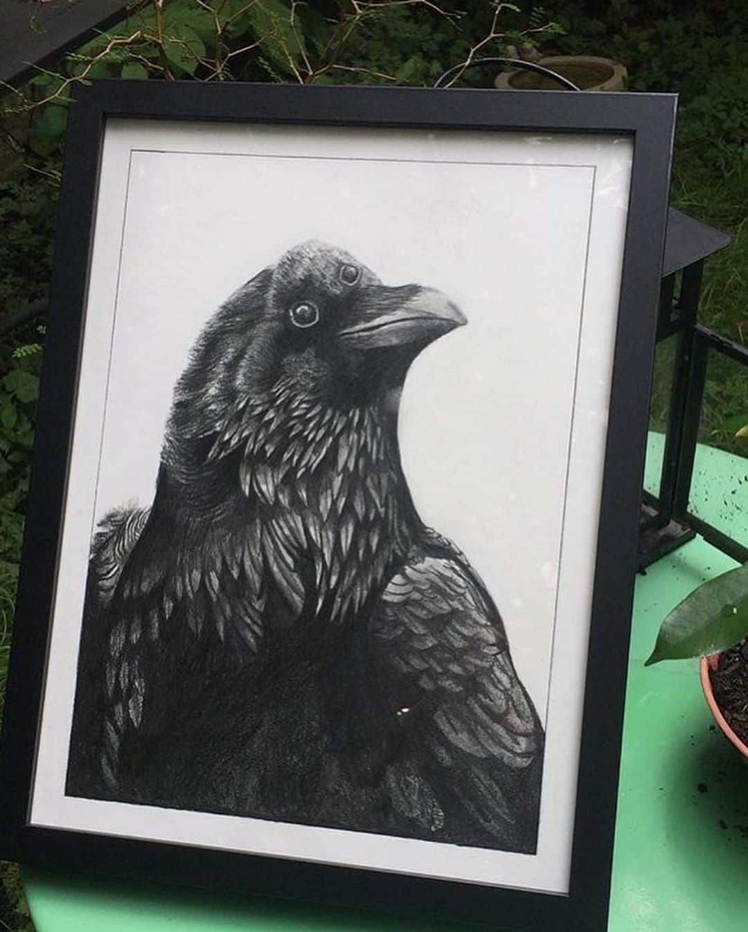Art Collective Magazineさんのインスタグラム写真 - (Art Collective MagazineInstagram)「@laura.doudard.artwork graphite 3 eyed raven from #gameofthrones 💥 check her page for a bunch of nice bird drawings 🦅  #artnerd #artcollective #raven #thecrow」5月20日 7時13分 - art_collective