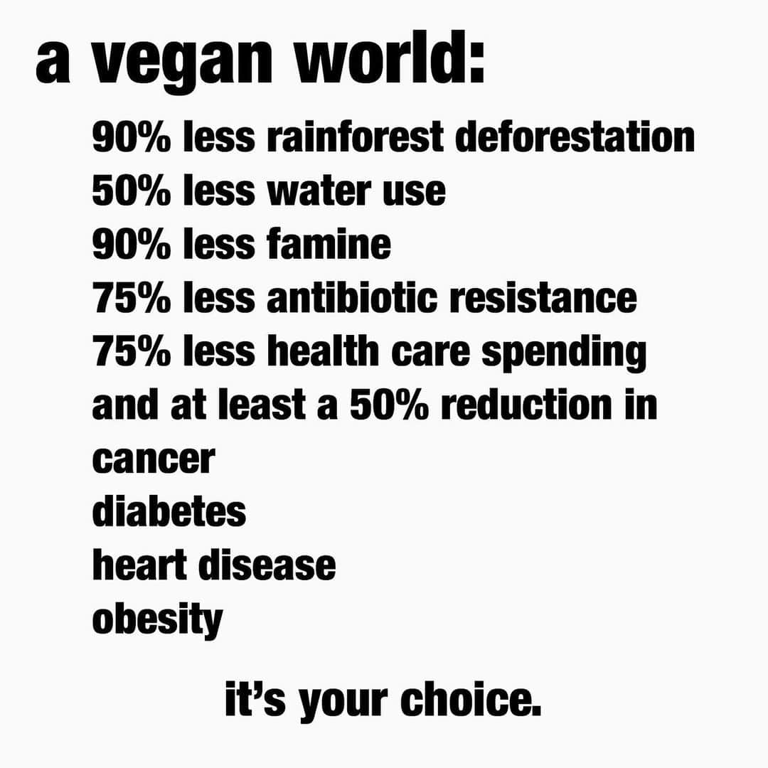 モービーさんのインスタグラム写真 - (モービーInstagram)「Seriously, keep using animals for food and destroy the only home we have. Or don’t. It’s your choice.」5月20日 7時33分 - moby