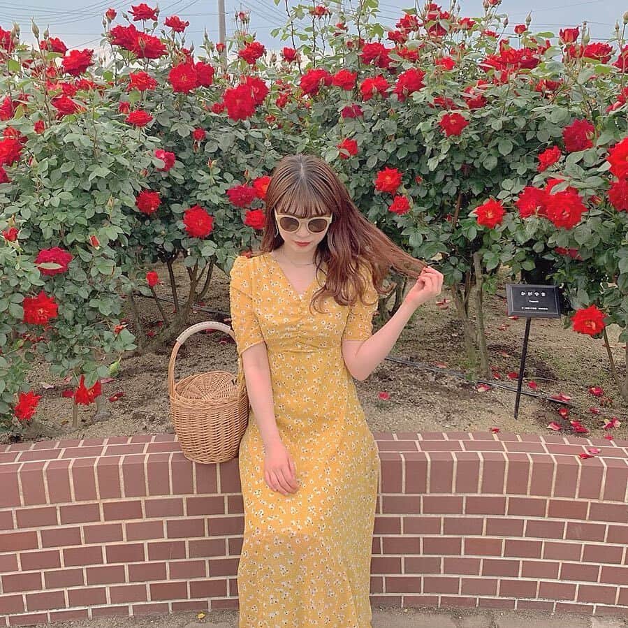 のインスタグラム：「. 5月〜6月は、バラが見ごろの季節です！愛媛県にある『よしうみバラ公園』では、世界各国の貴重なバラを楽しむことができます。入園無料・年中無休なので、ぜひ行ってみてくださいね。 . MERYでは他にも「かわいい」に近づくさまざまな情報を発信しています。 @mery.beauty コスメ・美容に特化した情報をお届け♡ @mery_spot 話題のカフェやお出かけスポットをご紹介！ こちらもぜひチェックしてみてください！ . . photo by @1437yanyan . #MERY #regram #instagram #rose #ootd #四国 #四国旅行 #愛媛旅行 #愛媛県 #バラ #バラ園 #花のある暮らし #花のある生活 #花のある風景 #バラが好き #お出かけ #お出かけスポット #インスタ映え #インスタ映えスポット #穴場スポット #お花畑 #フォトジェニック #今日のコーデ #今日の服 #ファインダー越しの私の世界 #写真好きな人と繋がりたい #お洒落 #お洒落さんと繋がりたい #MERY女子 #メリー」