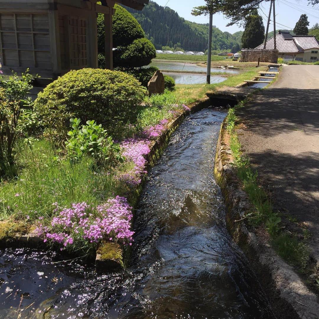 大手小町のインスタグラム