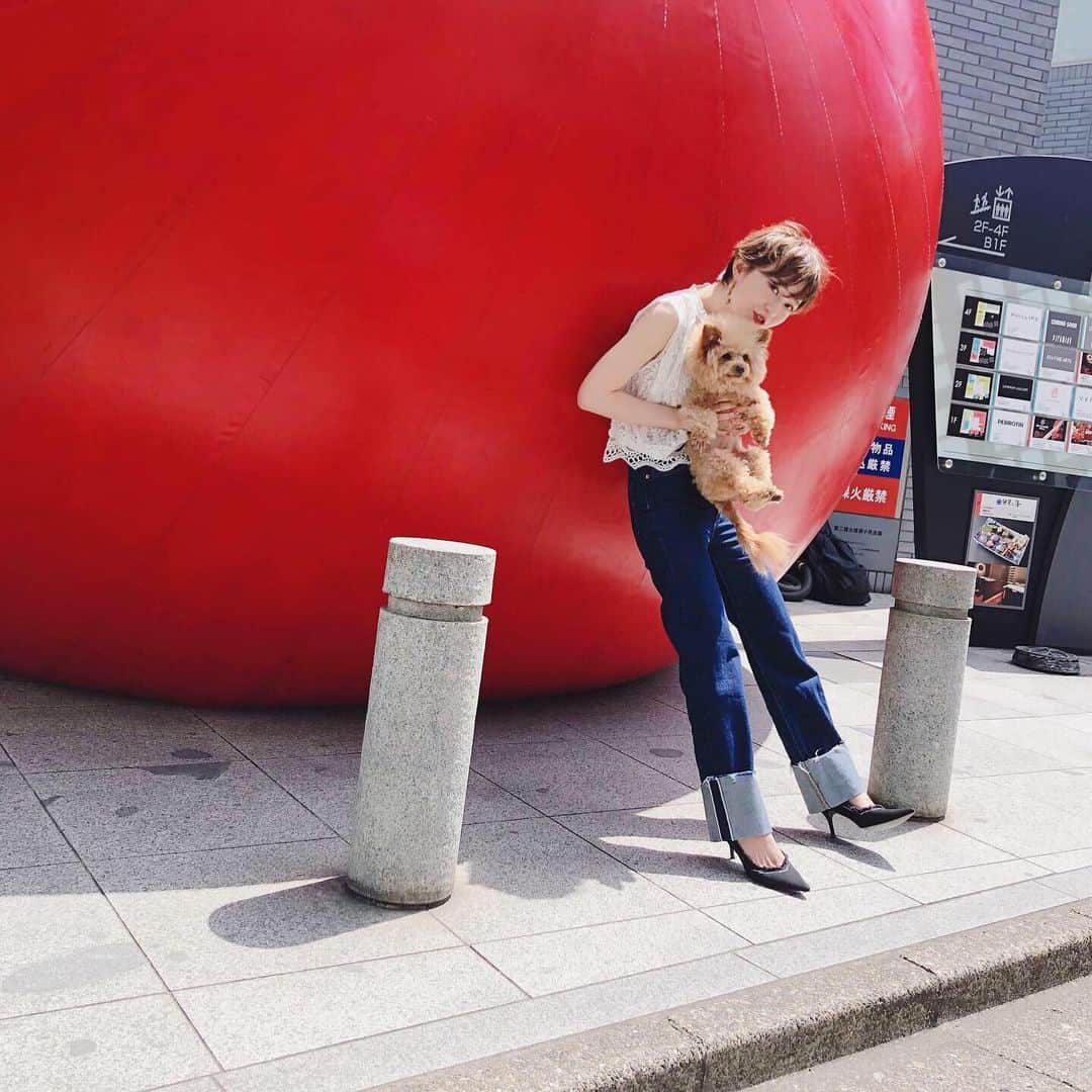 yukichi_yukiさんのインスタグラム写真 - (yukichi_yukiInstagram)「六本木で行われているRedBall Projectに行ってきたよ♡ 日本に初上陸らしい！✨ めっちゃ大きくて押しつぶされそうなイメージで写真撮った❤️😳 いきなり赤いボールが街中にあるからど迫力だったよ〜😂 これは本当に映え映えの映え❤️ 毎日ボールが出現する場所が変わるんだけど、詳細は公式インスタグラムからとべるよ！🎈 ☞ @redballproject  #六本木アートナイト2019 #roppongiartnight2019  #redballproject  #ゆきちゆき」5月20日 13時55分 - yukichi_yuki