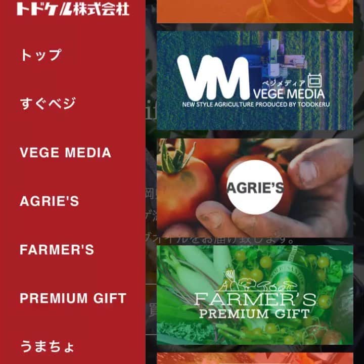 福岡超新鮮野菜/フレラボ薬院店のインスタグラム