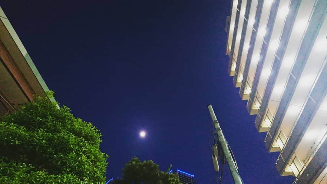 松坂南さんのインスタグラム写真 - (松坂南Instagram)「こちらも夜photo」5月20日 9時58分 - minami_matsuzaka