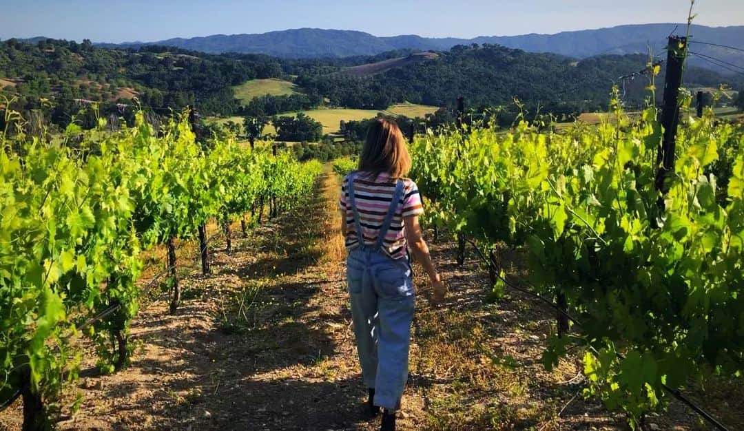 ジョアンナ・ブラッディさんのインスタグラム写真 - (ジョアンナ・ブラッディInstagram)「🍇🍷#winecountry #retreat」5月20日 10時12分 - thejohannabraddy