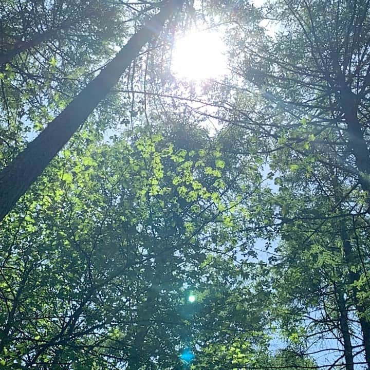 須黒清華のインスタグラム：「長野の新緑🍀🍀🍀 お天気も最高で、本当に鮮やかだった✨✨ 技術さんが、スローで撮ると綺麗だよって教えてくれました😋 . さ、また今日も頑張りましょう✨✨」