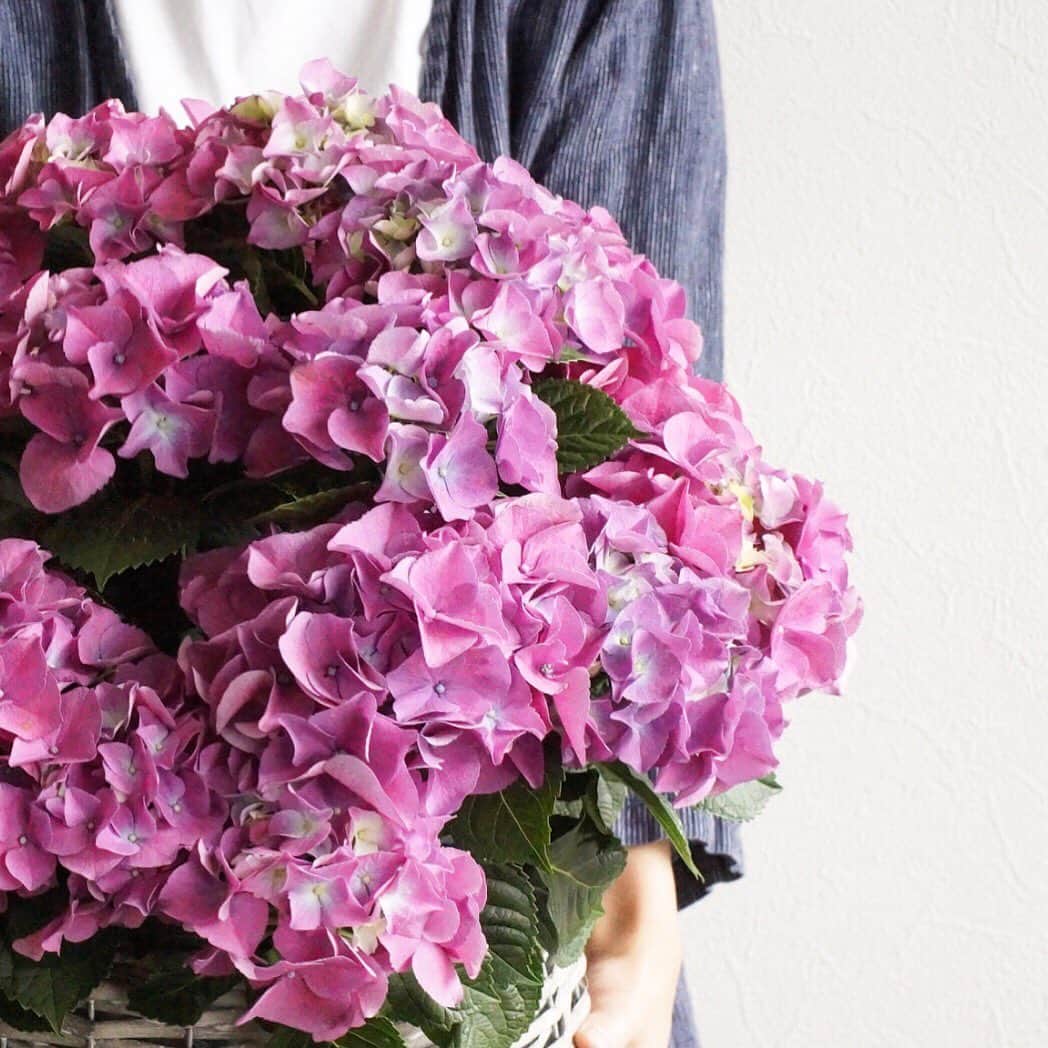 MILLE ECLAT.のグルメインスタ