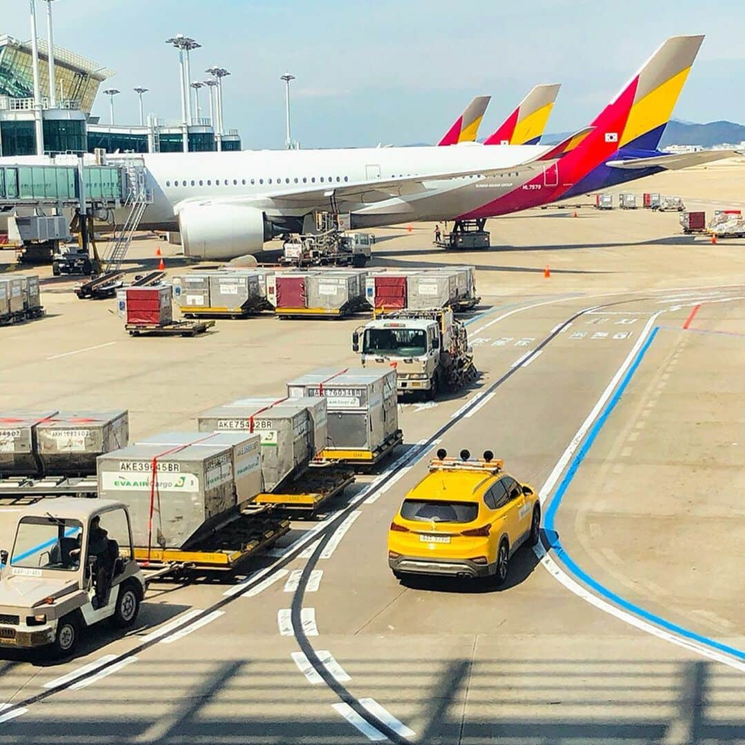 アシアナ航空日本地域公式アカウントさんのインスタグラム写真 - (アシアナ航空日本地域公式アカウントInstagram)「. アシアナ航空は昨年行われた、三重県観光局主催の#visitmie 投稿キャンペーンに協賛しました😊✨ . そこでアシアナ航空ペアチケットをプレゼントさせていただいた、@emicovan さんの韓国でのお写真を紹介します🤗💕 . まずは景福宮で行われる王宮守門将交代儀式の様子から💁🏻‍♀️韓国ならではの観光から始まります🇰🇷 .  韓国グルメといえばやっぱり市場！写真は皆さまお馴染みの広蔵市場ですね😄この市場のマストバイといえば「麻薬キンパ」ですよね😋一度食べたらやみつきになることからこう呼ばれています🤓 . おしゃれなフォトスポットのDDPは東大門でひときは目立つ新たなランドマーク✨10月下旬頃までは毎週金・土にナイトマーケットが開催される注目スポットですよ⭐️ . アシアナ航空の機内食もemicovan さんの手にかかるとたちまちフォトジェニックに📸🍴 今回が3回目の韓国だったというemicovan さん。次回もまたアシアナ航空で韓国へ✈️🇰🇷 . #アシアナ航空#韓国旅行#韓国好きな人と繋がりたい#韓国旅行記#ソウル旅#旅行好きな人と繋がりたい#景福宮#広蔵市場#麻薬キンパ#DDP#アシアナ航空機内食#アシアナグラム#アシアナで行く#アシアナ倶楽部」5月20日 11時23分 - asiana.jp_official