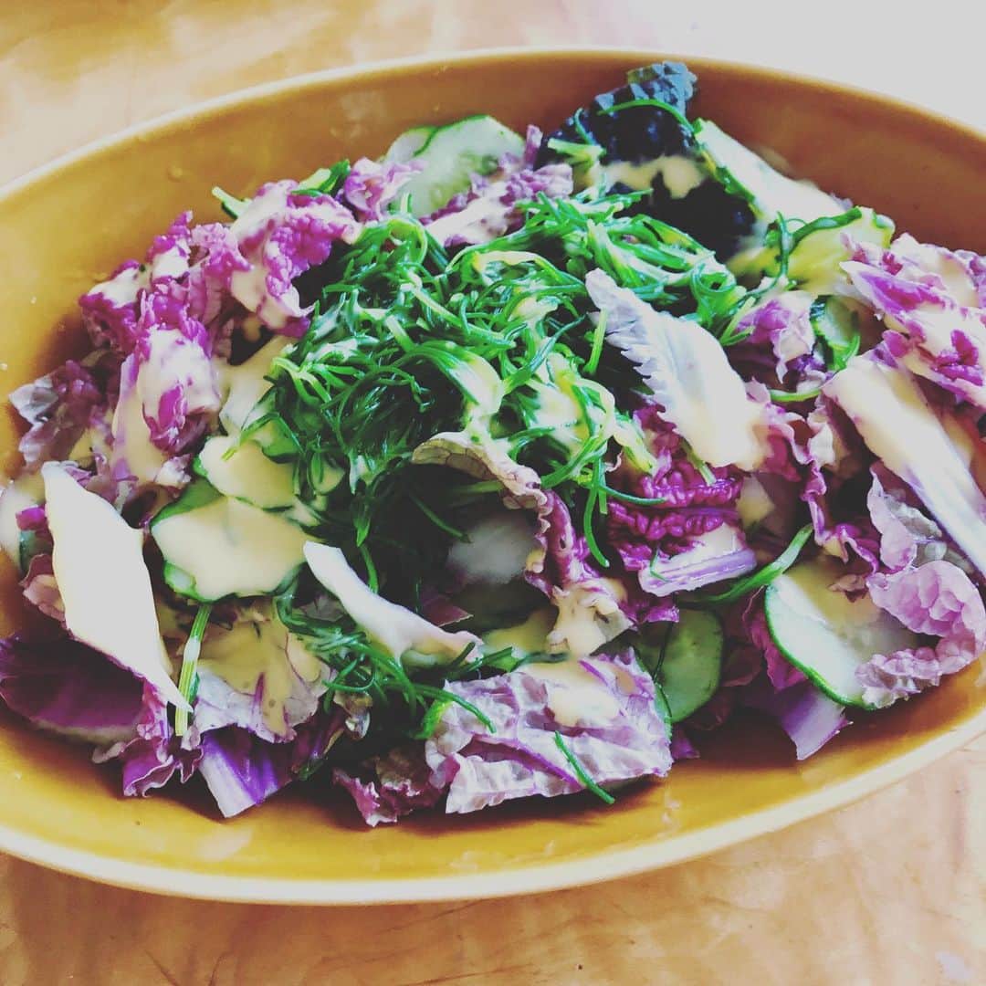 とよた真帆さんのインスタグラム写真 - (とよた真帆Instagram)「朝のビタミン😊  近くに湘南野菜を売っているお店があり、生で食べられる紫色の白菜を見つけました。味は普通の白菜よりやや香りもある感じ✨おかひじきを茹でキュウリをスライス。ドレッシングはコーンにしましたよ🥗  #野菜 #湘南野菜 #朝のビタミン #salad #白菜」5月20日 11時27分 - maho_toyota