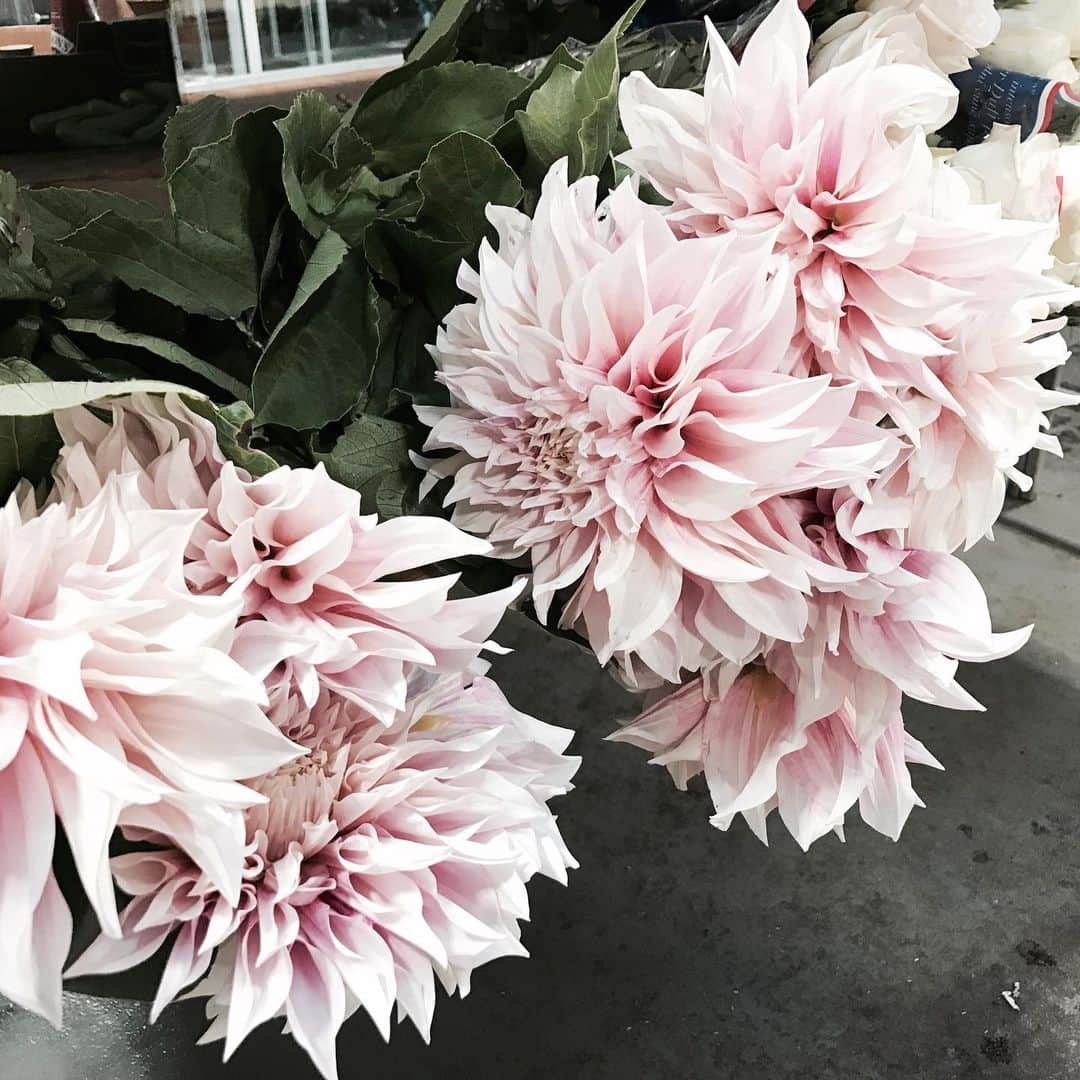 Florist.janeのインスタグラム