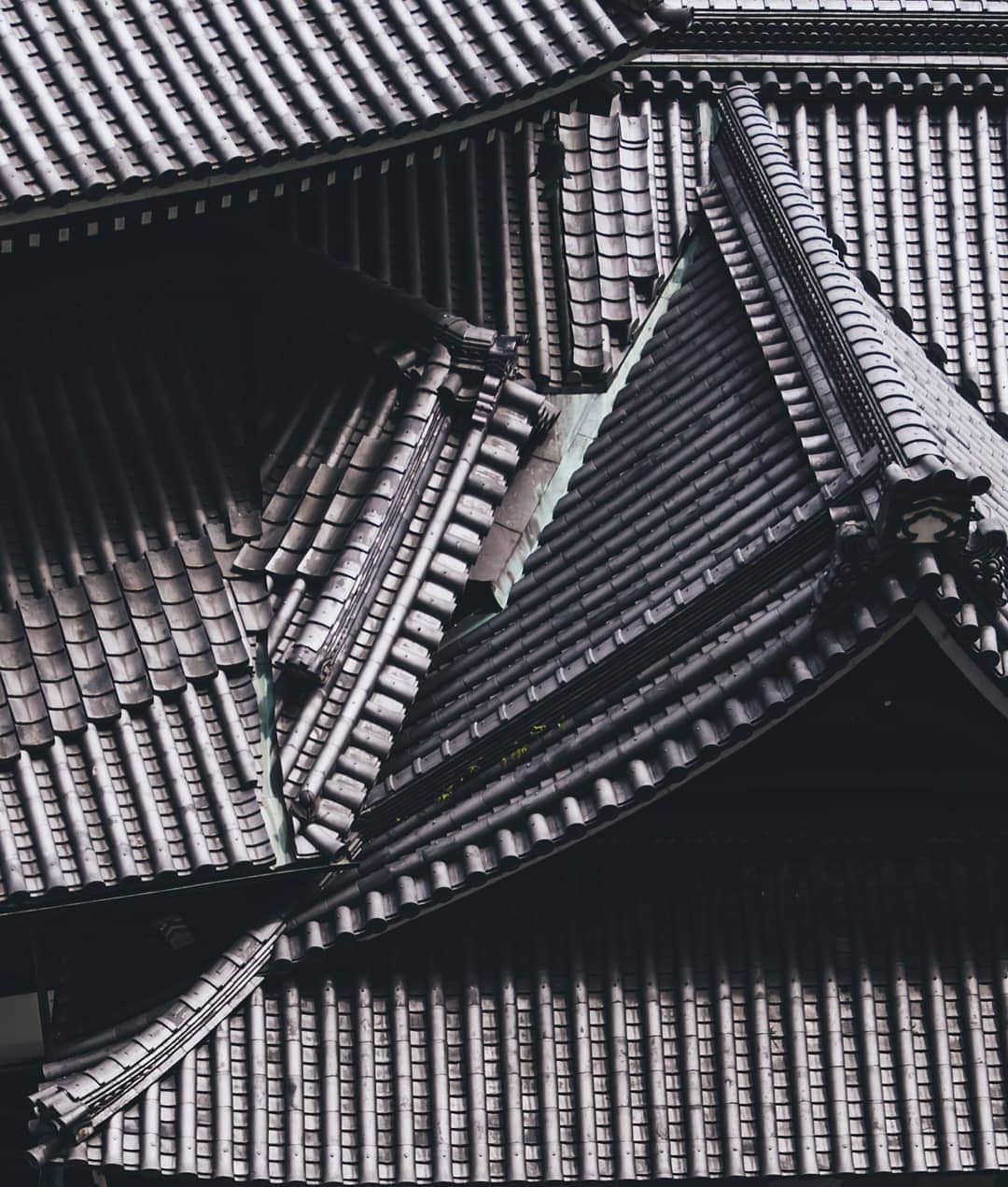 福田洋昭のインスタグラム：「Spent an amazing few days in Kyoto with @Jaegerlecoultre discovering the art of precision in nature, in culture, in customs and in this case, architecture.  #ArtOfPrecision #JaegerLeCoultre」