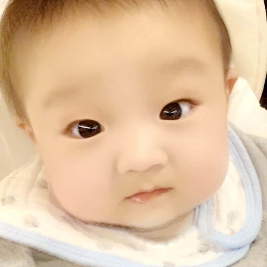 杉浦太陽さんのインスタグラム写真 - (杉浦太陽Instagram)「コアしゃんに子ども顔アプリしたら、 あまり変わらないw  #コアしゃ〜〜ん」5月20日 22時12分 - sugiurataiyou_official