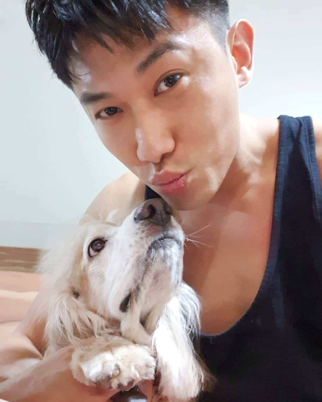 デスモンド・タンのインスタグラム：「Happy 520! I love you, Hoshi baby! 我爱你, 你爱我吗?  #520 #hoshitan #陈河狮 #englishcockerspaniel」