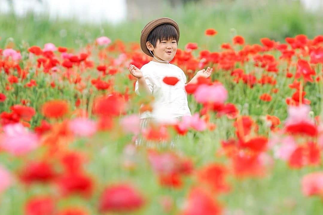 のインスタグラム：「今週もよろしくお願いします😊 現在、「初夏」を楽しんでいるお写真・動画を募集中です✨ 本日の #タビスルキッズ はこちら💕 📷 @shizu_photoさん 🚩埼玉県・鴻巣市「ポピー・ハッピースクエア」 🎙ご本人コメント 日本一広い？ポピー畑✨✨ 赤いポピーはまだまだだったよ。 ・ 広すぎて、行きたかったムギナデシコに到着する頃には、ヘトヘト〜〜。 ・ ポピーまつり（馬室会場） ﻿﻿﻿＊＊＊＊＊＊ こちらは、日本一広いポピー畑なんですね✨ いつも、ステキな瞬間をありがとうございます💕」