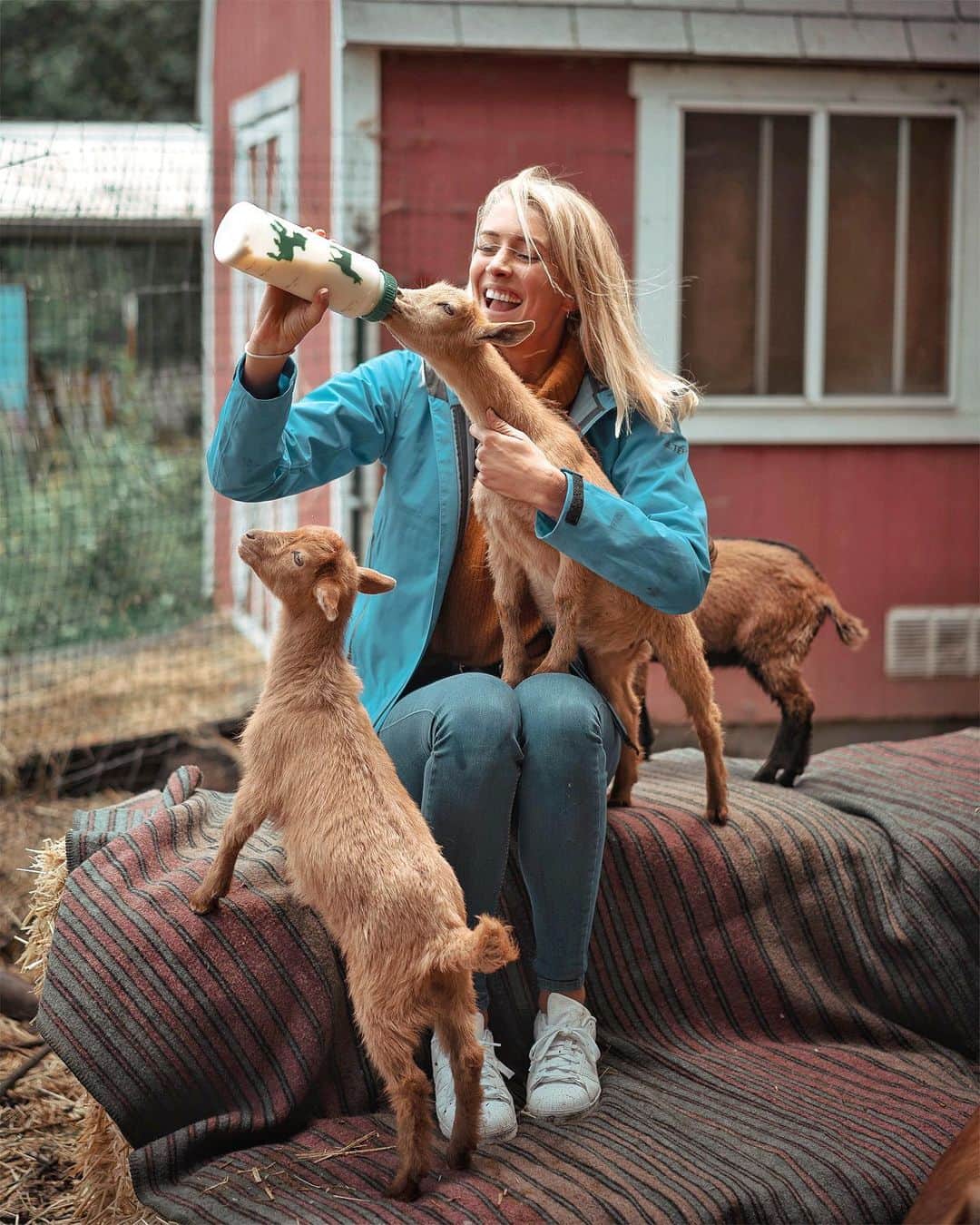 Zanna Van Dijkさんのインスタグラム写真 - (Zanna Van DijkInstagram)「Bottle feeding baby goats 😍 Have you ever seen a happier human!? You guys know that I am a crazy goat lady so this is literally me living my best life! 😂 Yesterday we arrived into @visiteldorado and explored a few of the areas organic farms to learn about how they sustainably produce food for the local community 🌱 As someone who is passionate about eating for the planet, it was super interesting hearing about how @24carrotfarm cycle crops to nourish the soil and have large wild flower patches to support pollinators like bees 🐝 And of course visiting @bee.love.farms and getting to cuddle their baby goats, pigs and bunnies was an animal lovers dream! 🐰 See more of our goat adventures on my stories! 🇺🇸❤️ @visitcalifornia @marcbaechtold #eldoradocounty #babygoats #pygmygoats #crazygoatlady #visitcalifornia #exploremore #vegandreams #sustainability」5月20日 22時40分 - zannavandijk