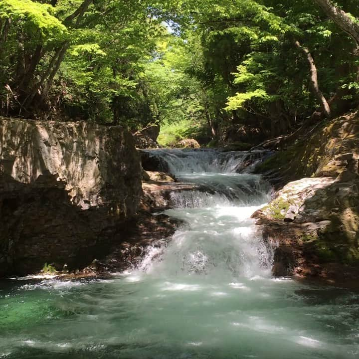 大手小町のインスタグラム