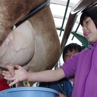 雪印メグミルクさんのインスタグラム写真 - (雪印メグミルクInstagram)「皆さん、やっモ〜‼️ もうすぐ牛乳の日🥛だね❗️ . 今週末２６日には、雪印こどもの国牧場で「牛乳まつり」が開催されるんだモッ。 知ってたモ❓ . 牛乳パック工作やバター作り体験、試飲もあるモ♪ . ボクも遊びに行くから、みんなも来てモ❤️ #牛乳まつり #牛乳の日 #イベント #雪印こどもの国牧場 #ポジミク #コップ牛の未来 #雪印メグミルク」5月20日 14時33分 - megmilk.snowbrand