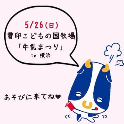 雪印メグミルクのインスタグラム