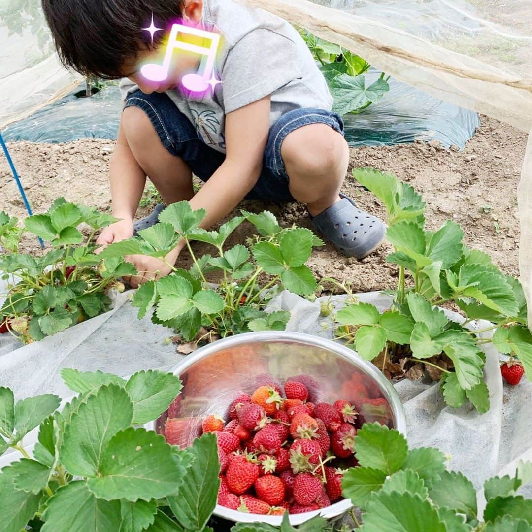 杉浦太陽のインスタグラム