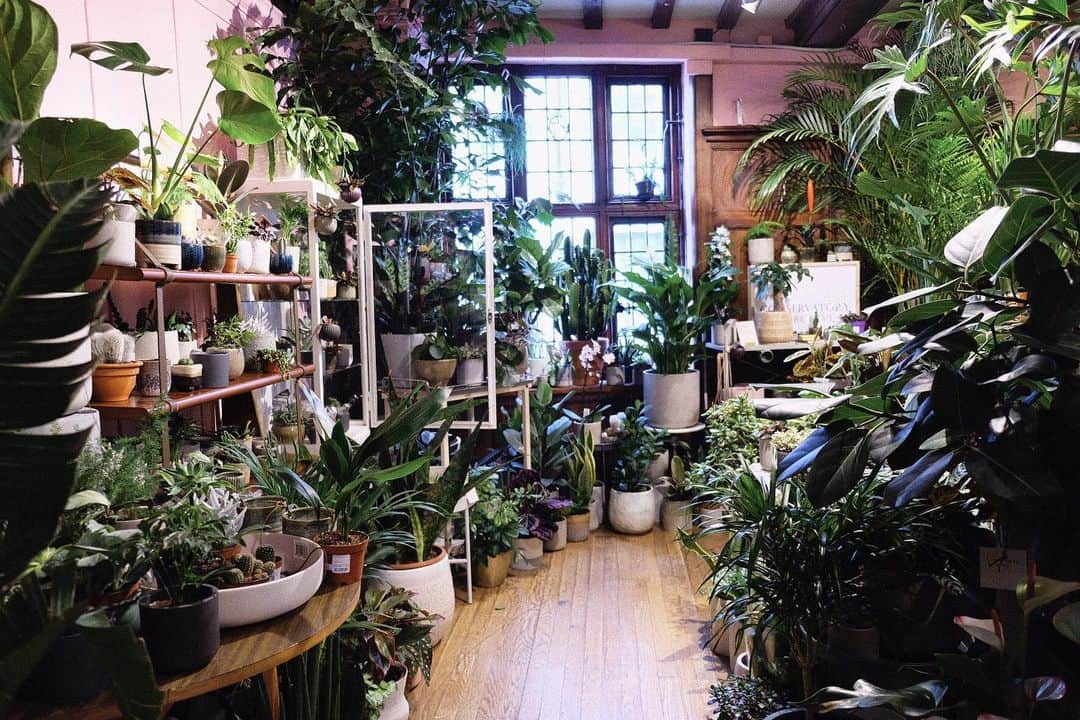 KUNIKAのインスタグラム：「🌿⛲️🦚🦋🗝」