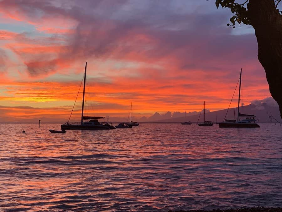 カイル・ニューマンさんのインスタグラム写真 - (カイル・ニューマンInstagram)「PARADISE  #hawaii #sunset #filtersareforsuckers」5月20日 16時49分 - kyle_newman