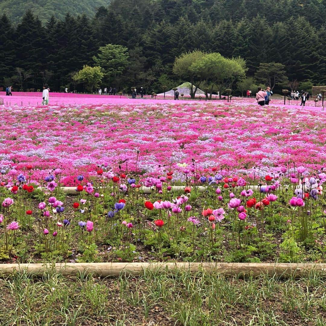 旺季志ずかさんのインスタグラム写真 - (旺季志ずかInstagram)5月20日 17時12分 - shizuka_ouki